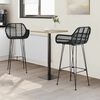 vidaXL Bar Chair 2 pcs Black 55 x 52 x 105 cm Rattan and Iron