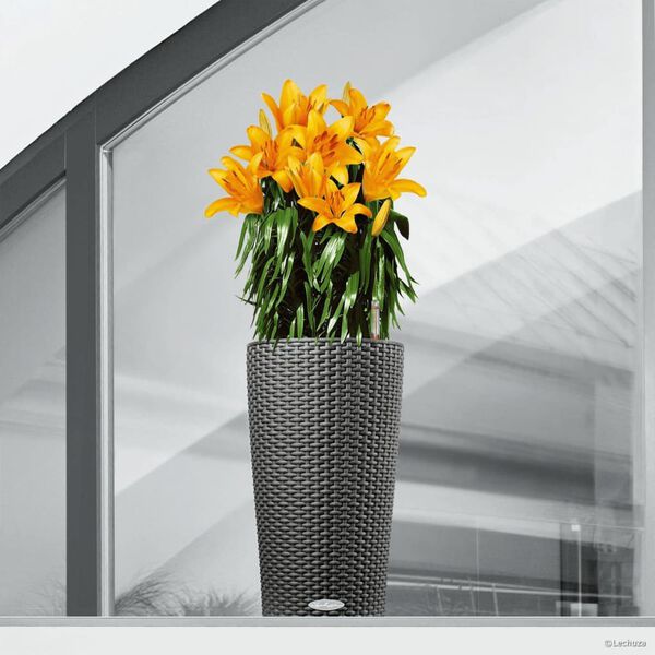 LECHUZA Planter CILINDRO Cottage 23 ALL-IN-ONE Diameter 23 cm Granite black