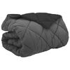 vidaXL Winter Duvet 220 x 240 cm 450 gsm Microfiber (100% Polyester)