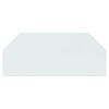 vidaXL Fireplace Glass Plate Hexagon 120x50 cm