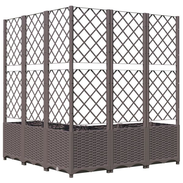 Showing Product Image 3 of 8