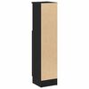 vidaXL Bathroom Cabinet with Roll Holder Black 20.5x22x90 cm