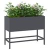 Product Thumbnail Image 3 of 12