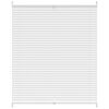 Plisse Blind 100x150cm White Pleated Blind