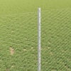 Product Thumbnail Image 4 of 14