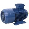 vidaXL 3 Phase Electric Motor Aluminium 1.5kW/2HP 2 Pole 2840 RPM