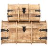 vidaXL Storage Chests 2 Pieces Solid Mango Wood