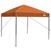 vidaXL Camping Tent Set 2 pcs Grey and Orange Taffeta and Fabric
