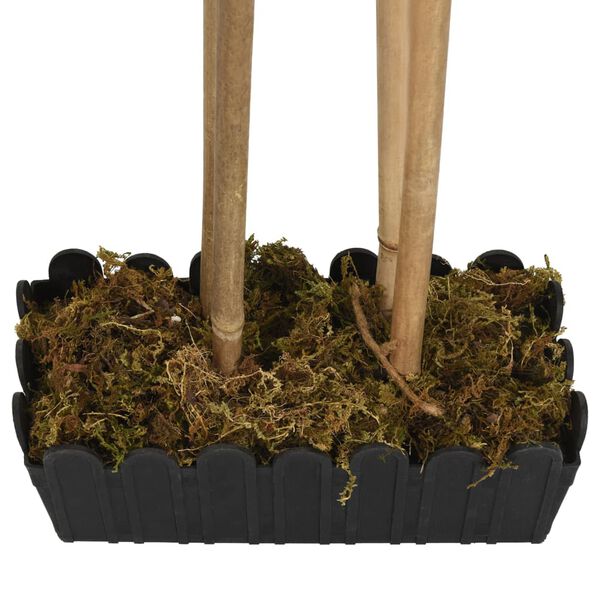 Showing Product Image 4 of 5