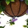 Product Thumbnail Image 5 of 6