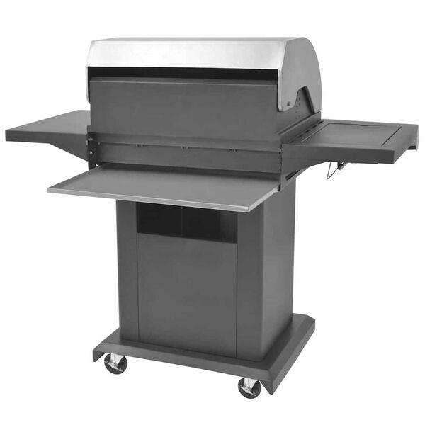 vidaXL Gas Barbecue Grill Silver Stainless steel