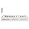 Product Thumbnail Image 9 of 14
