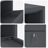 vidaXL Parcel Drop Box with Storage Anthracite 44 x 22 x 82 cm Steel