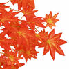 Product Thumbnail Image 4 of 5