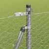 Product Thumbnail Image 5 of 17