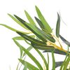 Product Thumbnail Image 2 of 2
