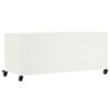 vidaXL TV Cabinet White 100.5x39x43.5 cm Steel