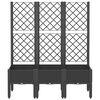 Product Thumbnail Image 3 of 8