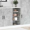 vidaXL Bottom Cabinet Riga Concrete Grey 40x44.5x81.5 cm Engineered Wood