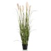Emerald Artificial Pampas Grass in Pot 160 cm