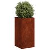 Product Thumbnail Image 3 of 10