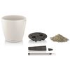 LECHUZA Planter Classico Color 28 ALL-IN-ONE White High Gloss 13190