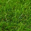 Product Thumbnail Image 3 of 3
