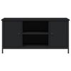 vidaXL TV Cabinet Black 100x40x50 cm Engineered Wood