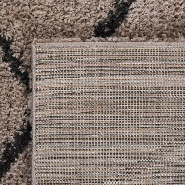 vidaXL Shaggy Rug High Pile Beige and Anthracite 200x290 cm