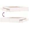 Product Thumbnail Image 8 of 10