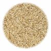 vidaXL Grass Seed for Sports and Play 10 kg