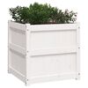vidaXL Garden Planter White 60x60x60 cm Solid Wood Pine