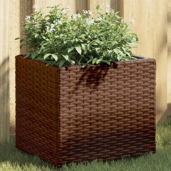 Showing Product Image 2 of 12