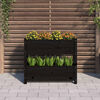 Product Thumbnail Image 3 of 9