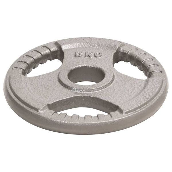 vidaXL Olympic Weight Plates 2 pcs 10 kg Cast Iron