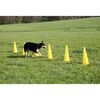 Kerbl 2-in-1 Agility Hurdle Cone Set Yellow 81994