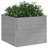 Product Thumbnail Image 10 of 13