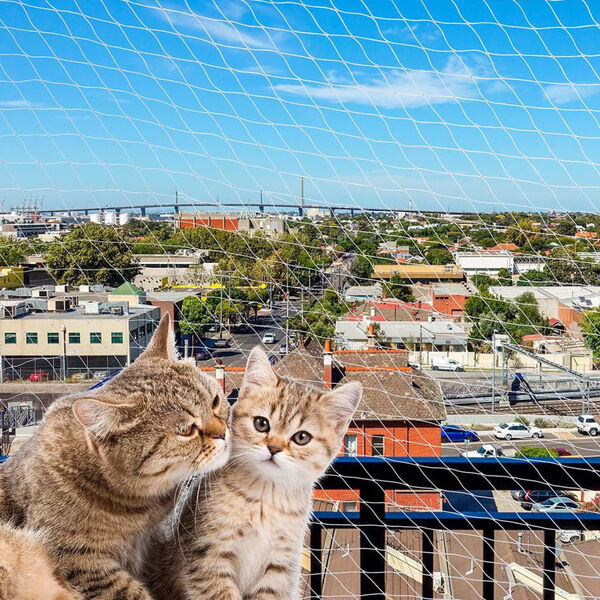 Ferplast Cat Safety Net 600x300 cm Nylon L