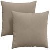 vidaXL Sofa Pillows 2 pcs Taupe 60 x 60 cm Fabric