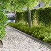 Product Thumbnail Image 2 of 8