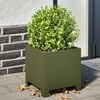 Product Thumbnail Image 2 of 12