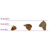 Product Thumbnail Image 12 of 12