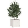 Product Thumbnail Image 3 of 8