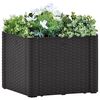 Product Thumbnail Image 2 of 7