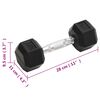 vidaXL Dumbbells 2 pcs 10 kg Total Cast Iron