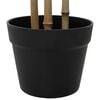 Product Thumbnail Image 4 of 5