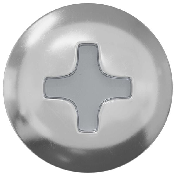 vidaXL Self Tapping Nail 2 pcs Zinc-coated 4 x 25 mm Steel