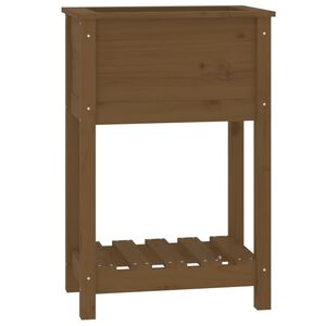 vidaXL Planter with Shelf Honey Brown 54x34.5x81 cm Solid Wood Pine