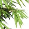 Product Thumbnail Image 3 of 5