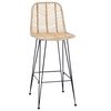 vidaXL Bar Chair 2 pcs Natural 44.5 x 53 x 111 cm Rattan and Iron